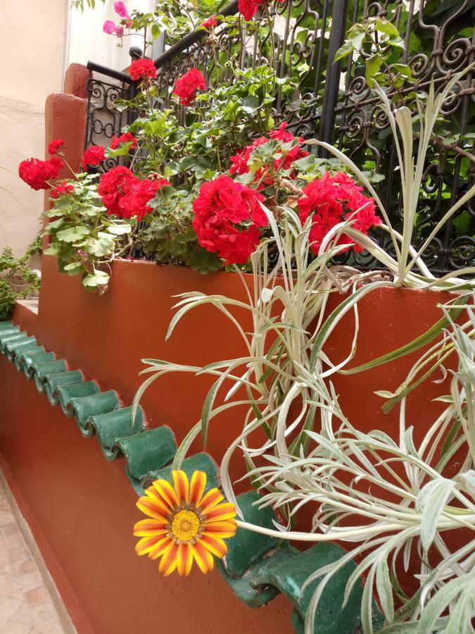 Riad Letchina Fez Bagian luar foto